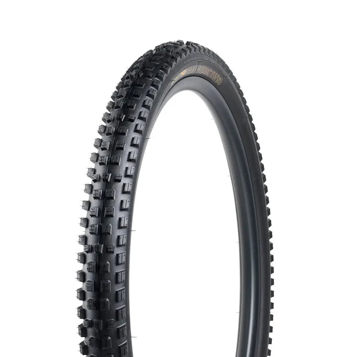 Bontrager Galbraith RSL SE TLR MTB Tyre