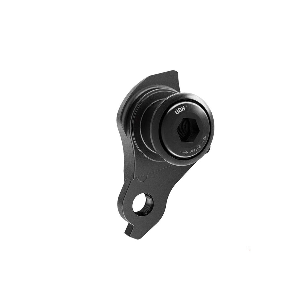 SRAM Universal Derailleur Hanger (UDH)