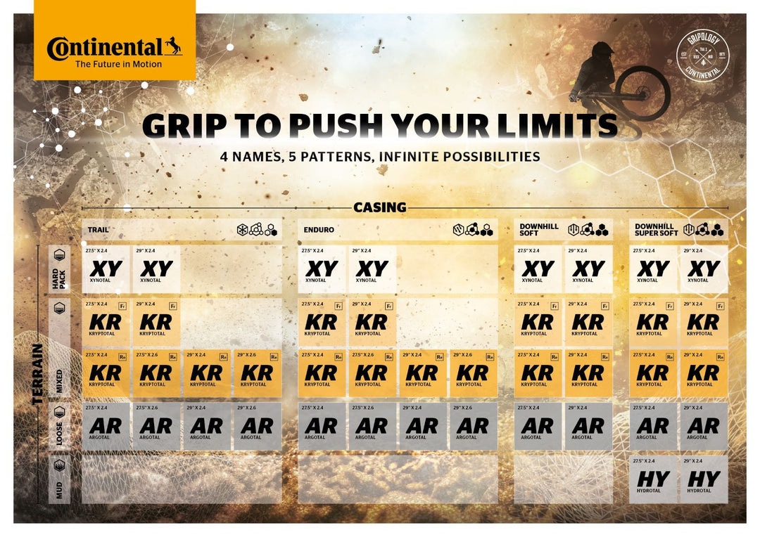 Continental Xynotal